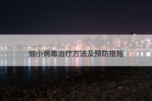 细小病毒治疗方法及预防措施