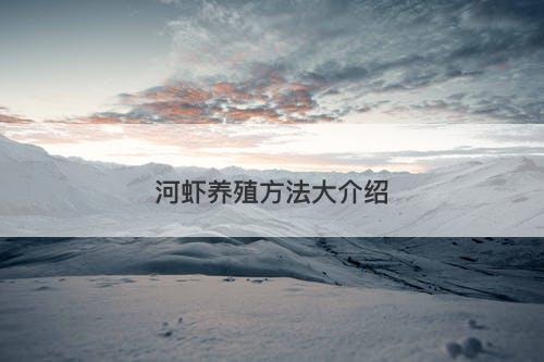 河虾养殖方法大介绍