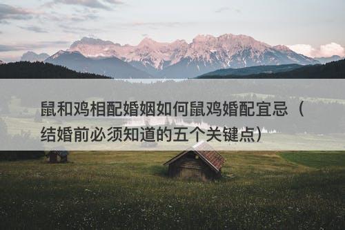 鼠和鸡相配婚姻如何鼠鸡婚配宜忌（结婚前必须知道的五个关键点）