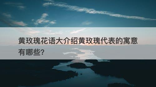 黄玫瑰花语大介绍黄玫瑰代表的寓意有哪些？