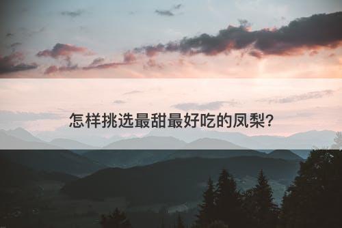 怎样挑选最甜最好吃的凤梨？