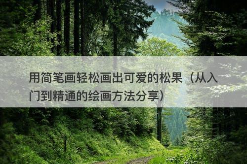 用简笔画轻松画出可爱的松果（从入门到精通的绘画方法分享）