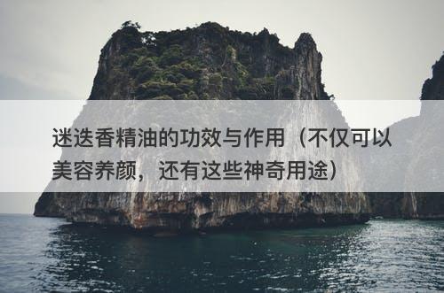 迷迭香精油的功效与作用（不仅可以美容养颜，还有这些神奇用途）