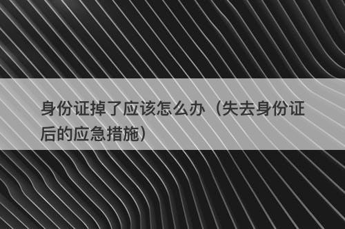 身份证掉了应该怎么办（失去身份证后的应急措施）