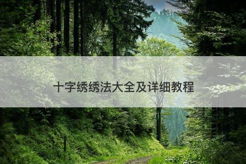 十字绣绣法大全及详细教程