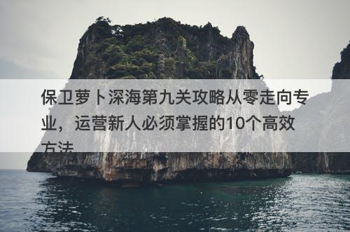 保卫萝卜深海第九关攻略从零走向专业，运营新人必须掌握的10个高效方法