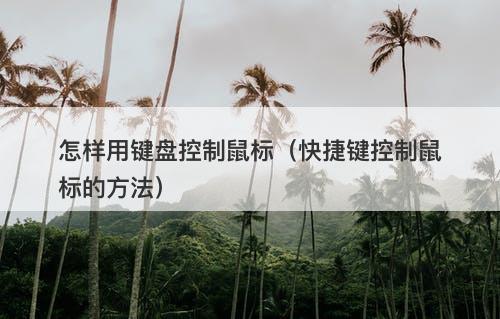 怎样用键盘控制鼠标（快捷键控制鼠标的方法）