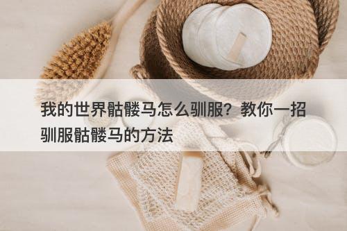 我的世界骷髅马怎么驯服？教你一招驯服骷髅马的方法