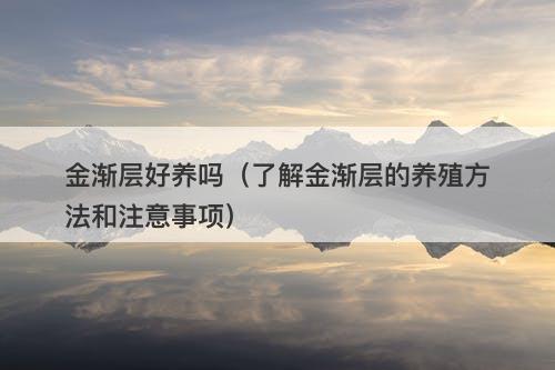 金渐层好养吗（了解金渐层的养殖方法和注意事项）