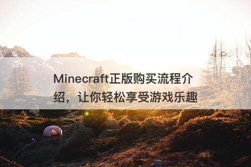 Minecraft正版购买流程介绍，让你轻松享受游戏乐趣