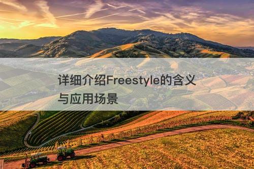 详细介绍Freestyle的含义与应用场景