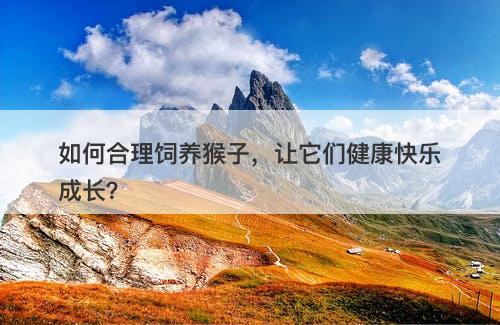 如何合理饲养猴子,让它们健康快乐成长?-图1 如何合理饲养猴子,让它们健康快乐成长?-图1