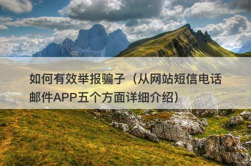 如何有效举报骗子（从网站短信电话邮件APP五个方面详细介绍）