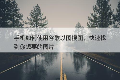 手机如何使用谷歌以图搜图，快速找到你想要的图片