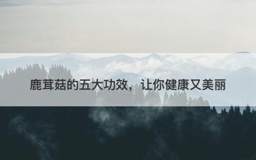 鹿茸菇的五大功效，让你健康又美丽