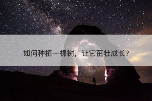 如何种植一棵树，让它茁壮成长？
