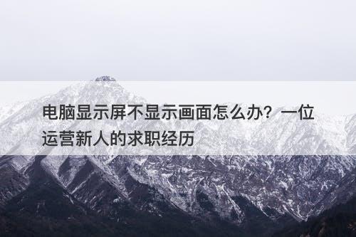 电脑显示屏不显示画面怎么办？一位运营新人的求职经历