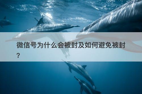 微信号为什么会被封及如何避免被封？