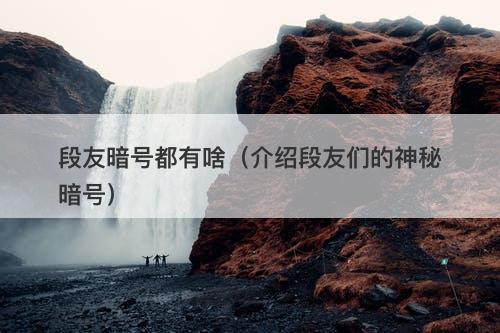 段友暗号都有啥（介绍段友们的神秘暗号）