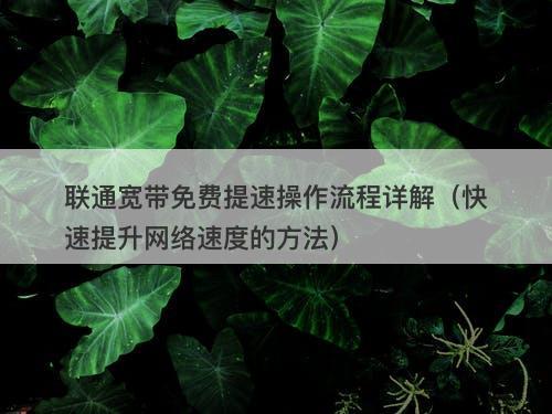 联通宽带免费提速操作流程详解（快速提升网络速度的方法）