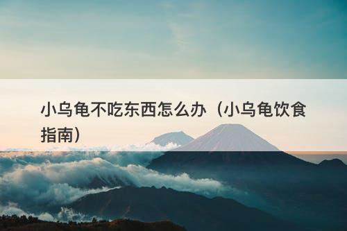 小乌龟不吃东西怎么办（小乌龟饮食指南）