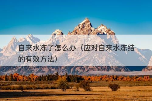 自来水冻了怎么办（应对自来水冻结的有效方法）