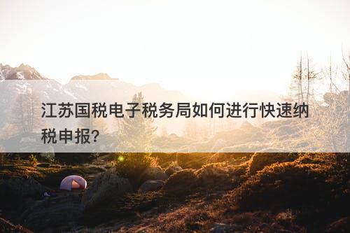 江苏国税电子税务局如何进行快速纳税申报？