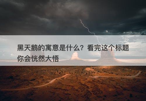 黑天鹅的寓意是什么？看完这个标题你会恍然大悟
