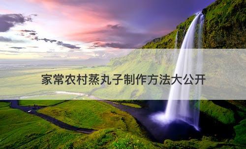 家常农村蒸丸子制作方法大公开