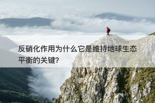 反硝化作用为什么它是维持地球生态平衡的关键？