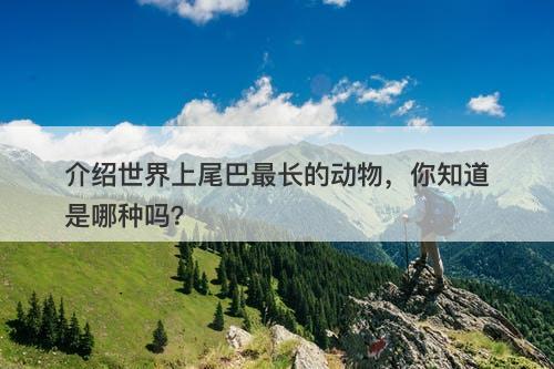 介绍世界上尾巴最长的动物，你知道是哪种吗？