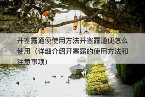 开塞露通便使用方法开塞露通便怎么使用（详细介绍开塞露的使用方法和注意事项）