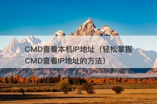 CMD查看本机IP地址（轻松掌握CMD查看IP地址的方法）