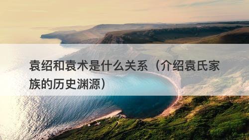 袁绍和袁术是什么关系（介绍袁氏家族的历史渊源）