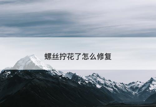 螺丝拧花了怎么修复