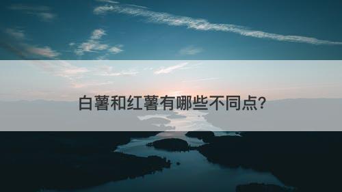 白薯和红薯有哪些不同点？