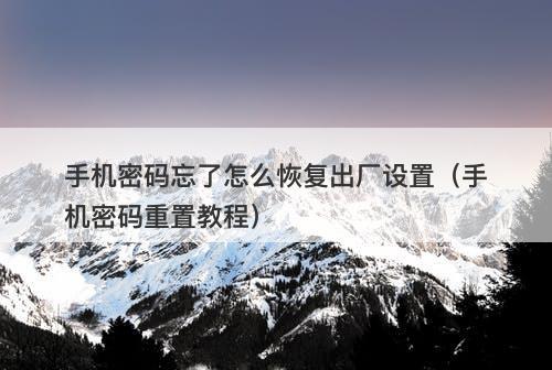 手机密码忘了怎么恢复出厂设置（手机密码重置教程）