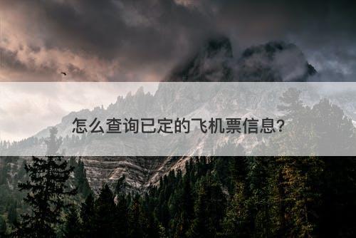 怎么查询已定的飞机票信息？