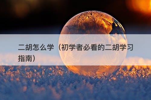 二胡怎么学（初学者必看的二胡学习指南）