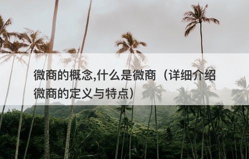 微商的概念,什么是微商（详细介绍微商的定义与特点）