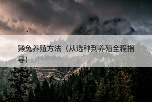 獭兔养殖方法（从选种到养殖全程指导）