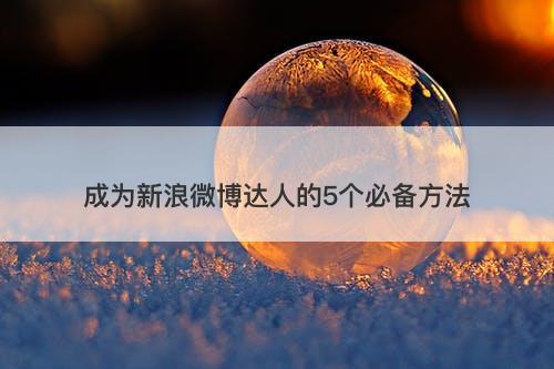 成为新浪微博达人的5个必备方法