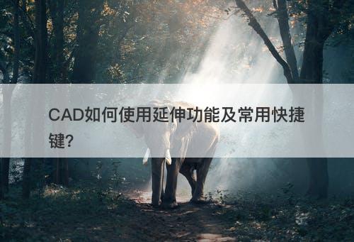CAD如何使用延伸功能及常用快捷键？