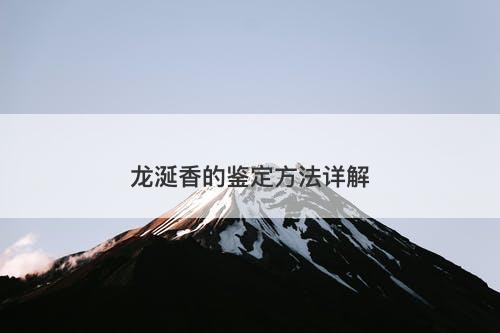 龙涎香的鉴定方法详解