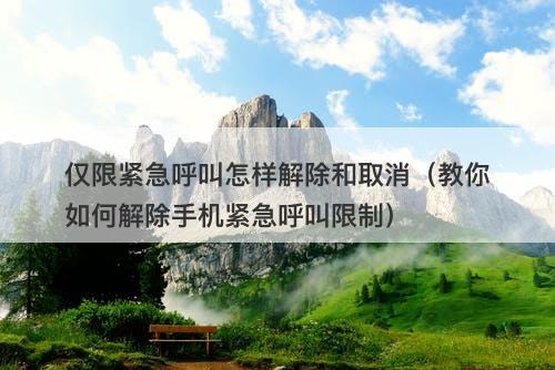 仅限紧急呼叫怎样解除和取消（教你如何解除手机紧急呼叫限制）