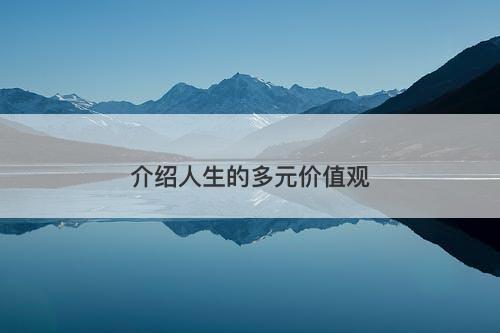 介绍人生的多元价值观