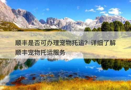 顺丰是否可办理宠物托运？详细了解顺丰宠物托运服务