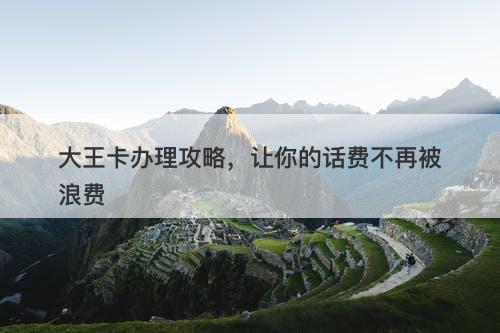 大王卡办理攻略，让你的话费不再被浪费