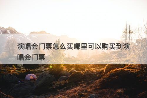 演唱会门票怎么买哪里可以购买到演唱会门票