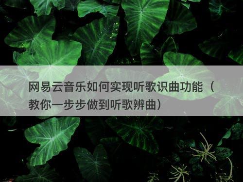 网易云音乐如何实现听歌识曲功能（教你一步步做到听歌辨曲）